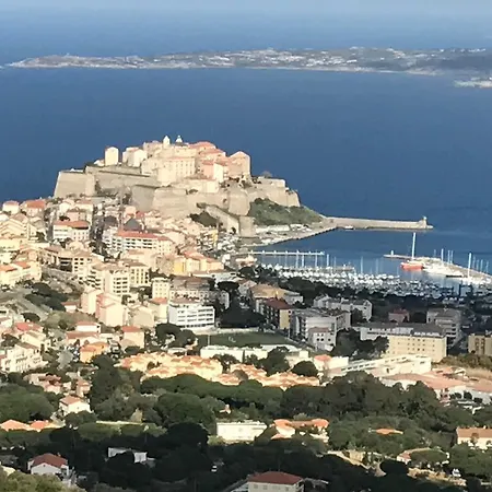 Lorenzoni *